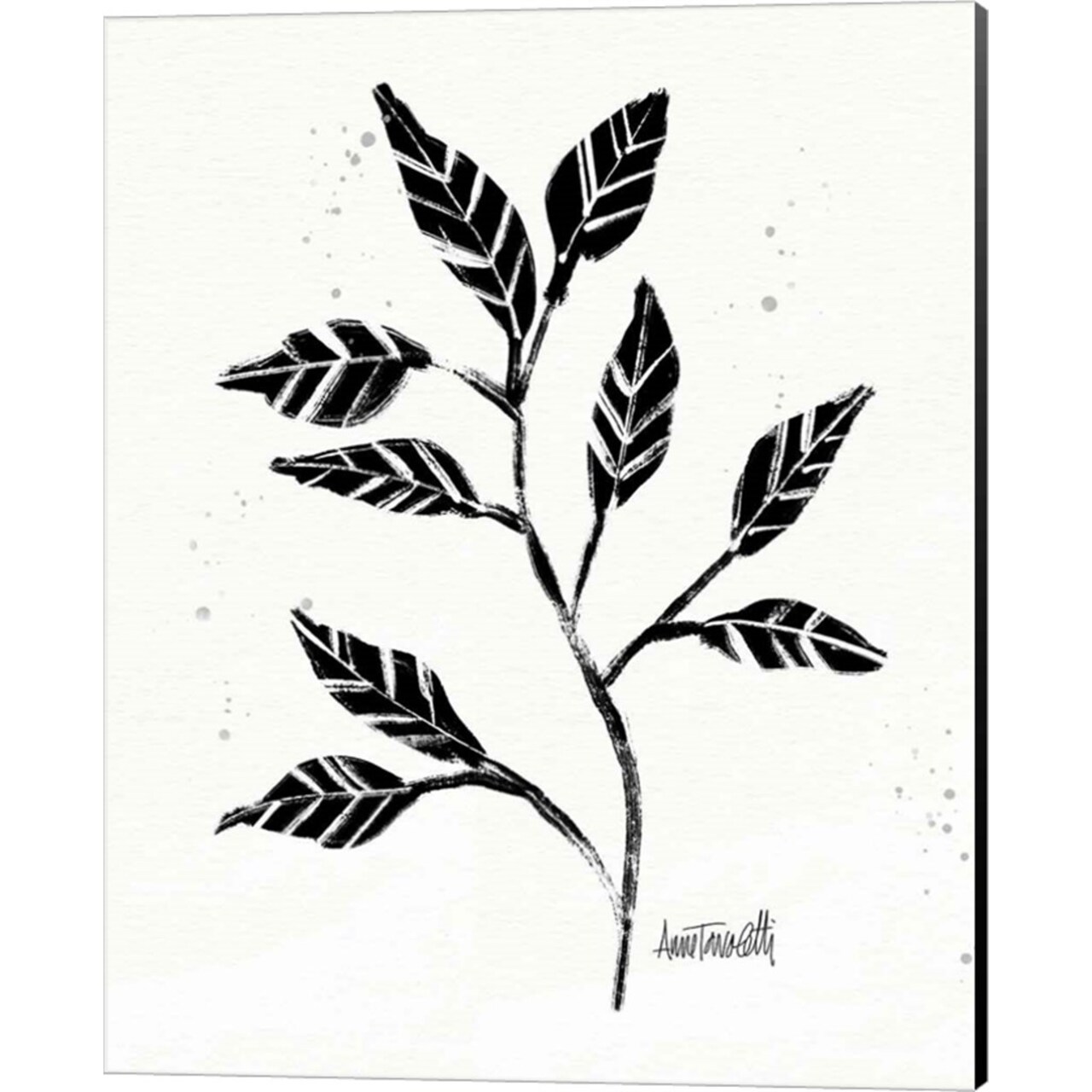 Botanical Sketches V by Anne Tavoletti 16" x 20" Canvas Wall Art